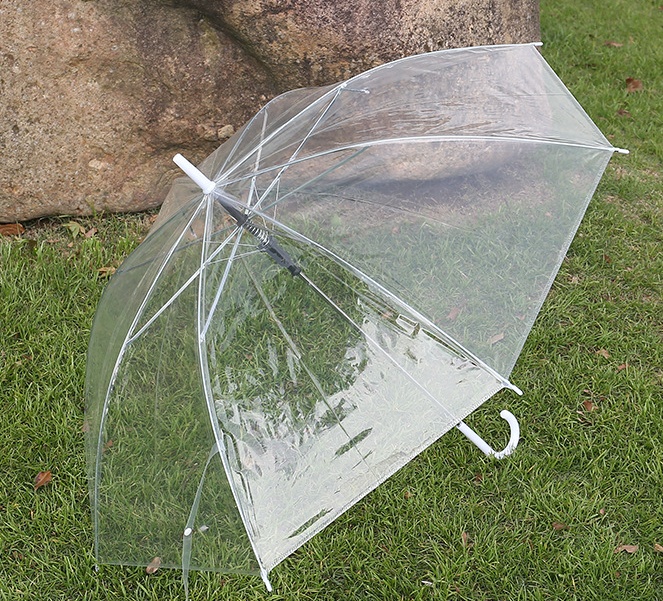 透明雨伞.JPG